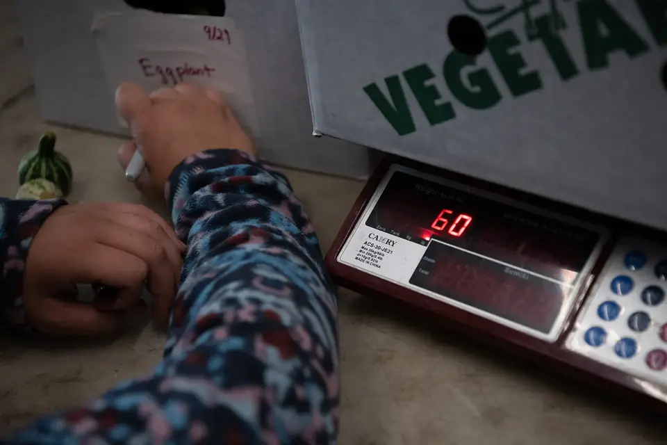 Une main note le poids d'un panier de légumes posé sur une balance électronique, à côté d'une caisse marquée Vegetables