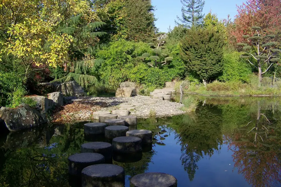 Le jardin japonais de l'île de Versailles à Nantes, avec un bassin, des rochers et des arbres taillés